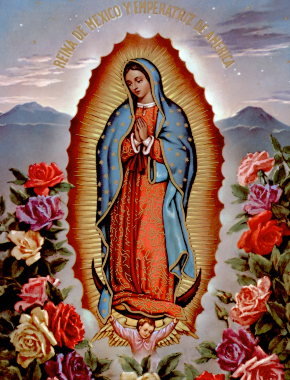 Our Lady Of Guadalupe Pictures 91